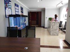 內(nèi)蒙古中躍信息技術(shù)咨詢服務(wù) 賦能企業(yè)數(shù)字化轉(zhuǎn)型的專(zhuān)業(yè)力量