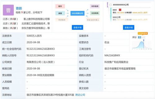 京東數科成立氫上數字科技，注冊資本5000萬元深耕信息技術咨詢服務